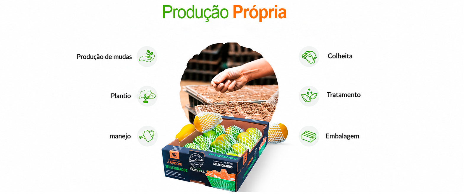 Produção Própria